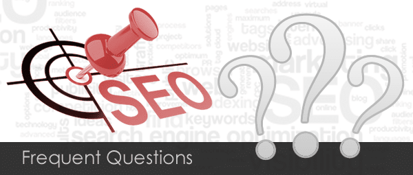 Michigan Small Business SEO FAQ