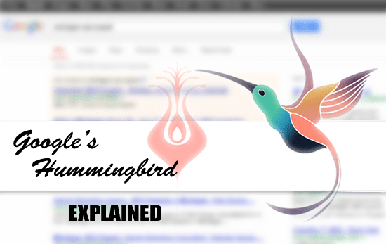 Michigan SEO Expert Explains Google's Hummingbird Algorithm