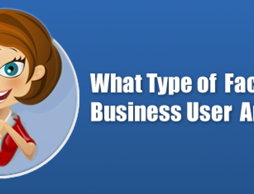 What type of Facebook Business User are You? by Michigan SEO Consultant